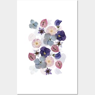 pressed flowers lilac Posters and Art